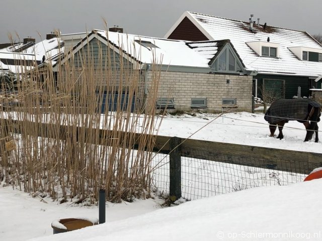 Wadzicht